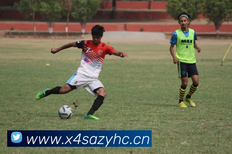 星空网手机官网入口服务体系